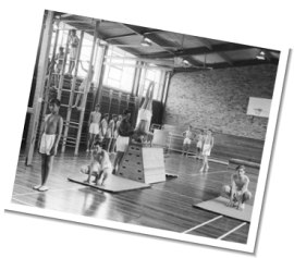 School Gym